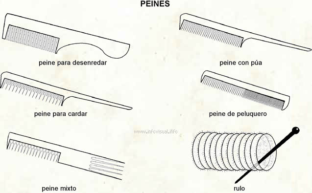 Peines (Diccionario visual)